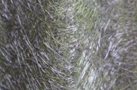 Whitwell On The Hill fibreglass roof work